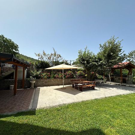 Apartmani Stanisic تْساني المظهر الخارجي الصورة